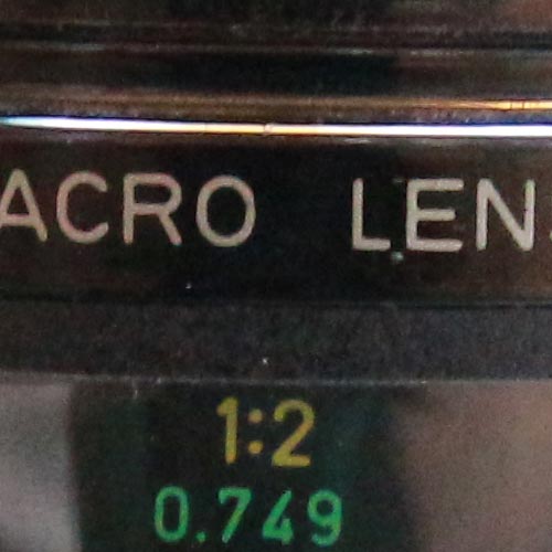 cropped
